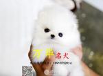 ϵ岩Ȯ 岩ȮȮӢϵȮ