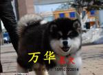 ˹ӡ˹ӡ˹ӶǮ