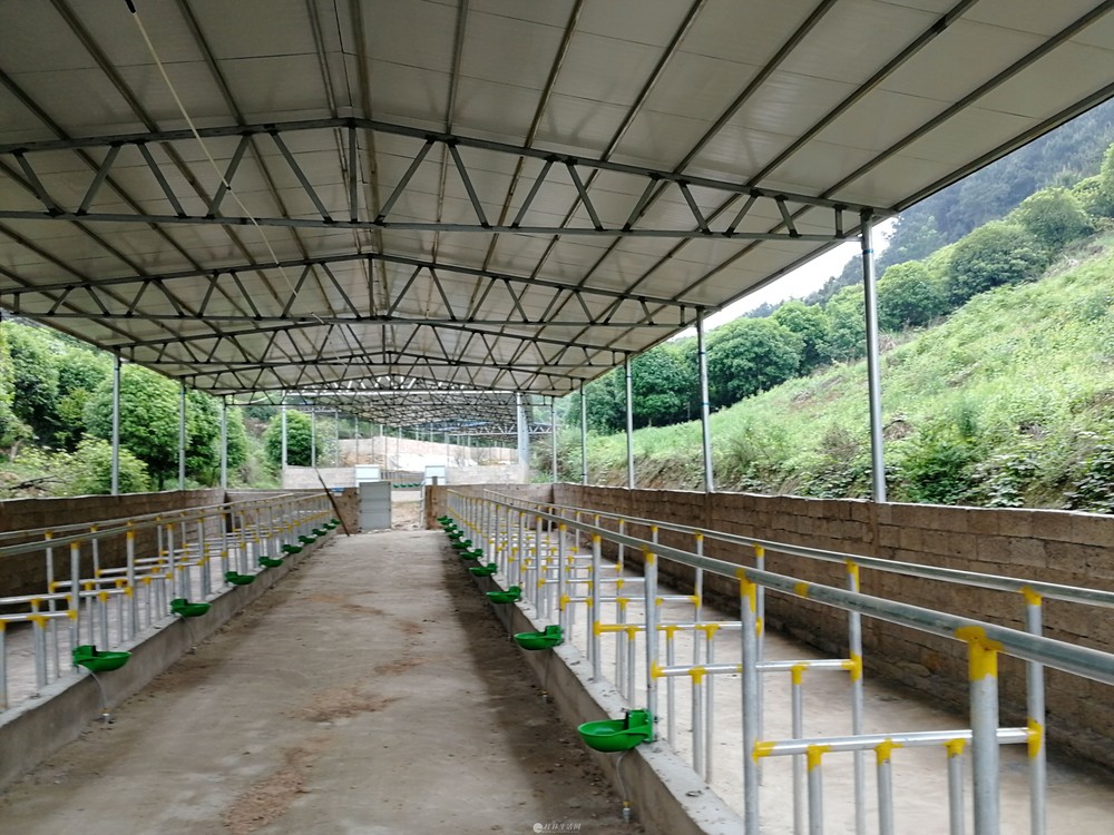 阳朔县十里画廊附近养牛场