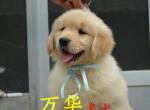 ˫Ѫͳë ിȮ ǩЭ