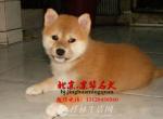  ²Ȯ ϵȮ۸ ȮȮ