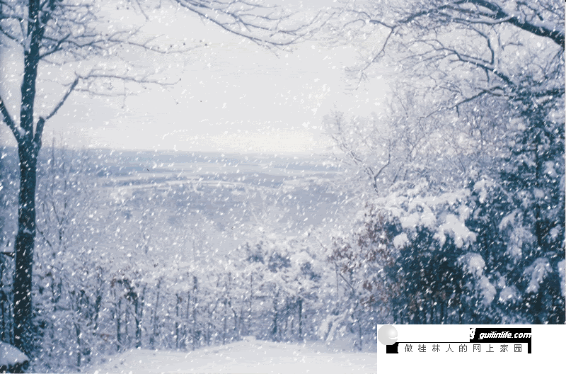 北方的每一片雪,在桂林是正在等待的情