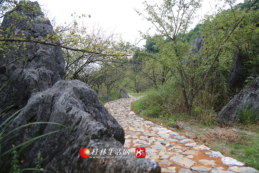 湘桂古道红军路修缮项目(灌阳段)